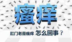 肛門瘙癢治不好嗎？先檢查病因就好辦！